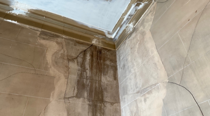 Water damage at Philadelphia's Central Library. Photo source: Molly McBeath