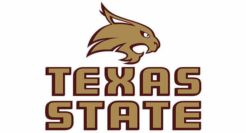 Texas State Energy Logo